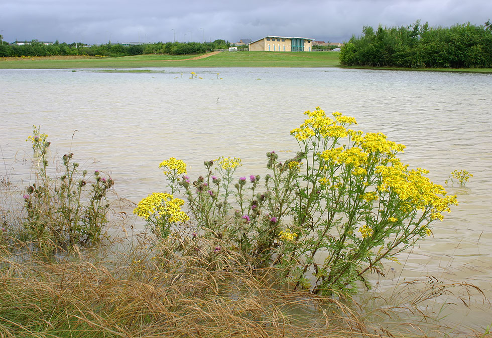 Floods at Carterton