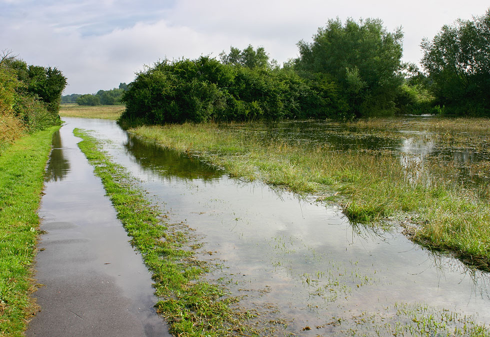 Carterton Willow Meadows