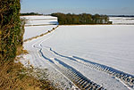 Snow near Asthall