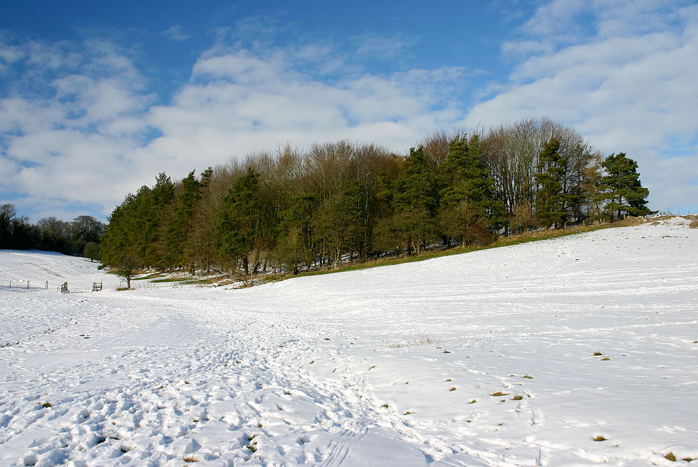 Snow near Widford