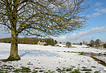 Widford Church